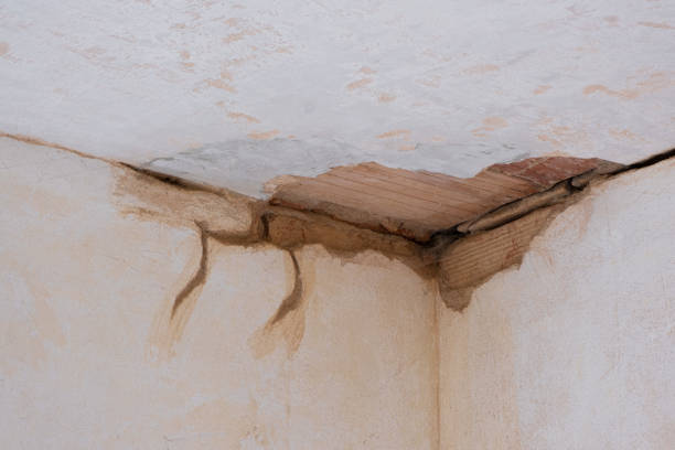 Best Flood restoration services  in Vineyards, FL