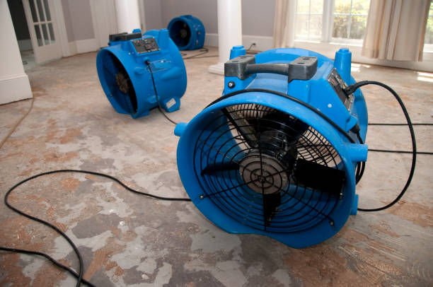 Best Carpet water damage restoration  in Vineyards, FL