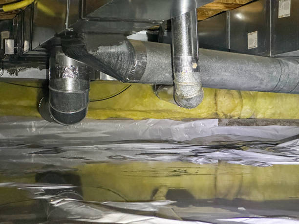 Best Commercial water damage restoration  in Vineyards, FL