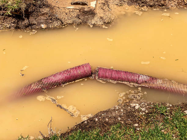 Best Water damage restoration near me  in Vineyards, FL