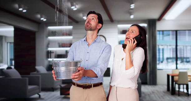 Best Local water damage restoration  in Vineyards, FL